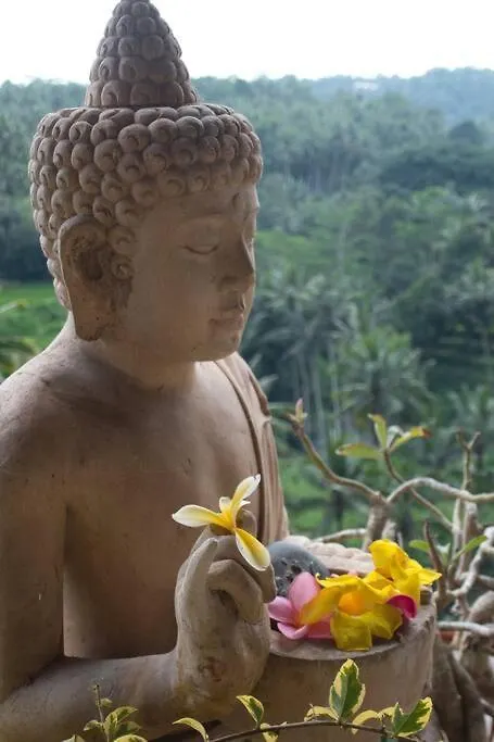 Heaven View 9 Bedroom Best Nature Visuals Ubud Sayan Villa Ubud (Bali)