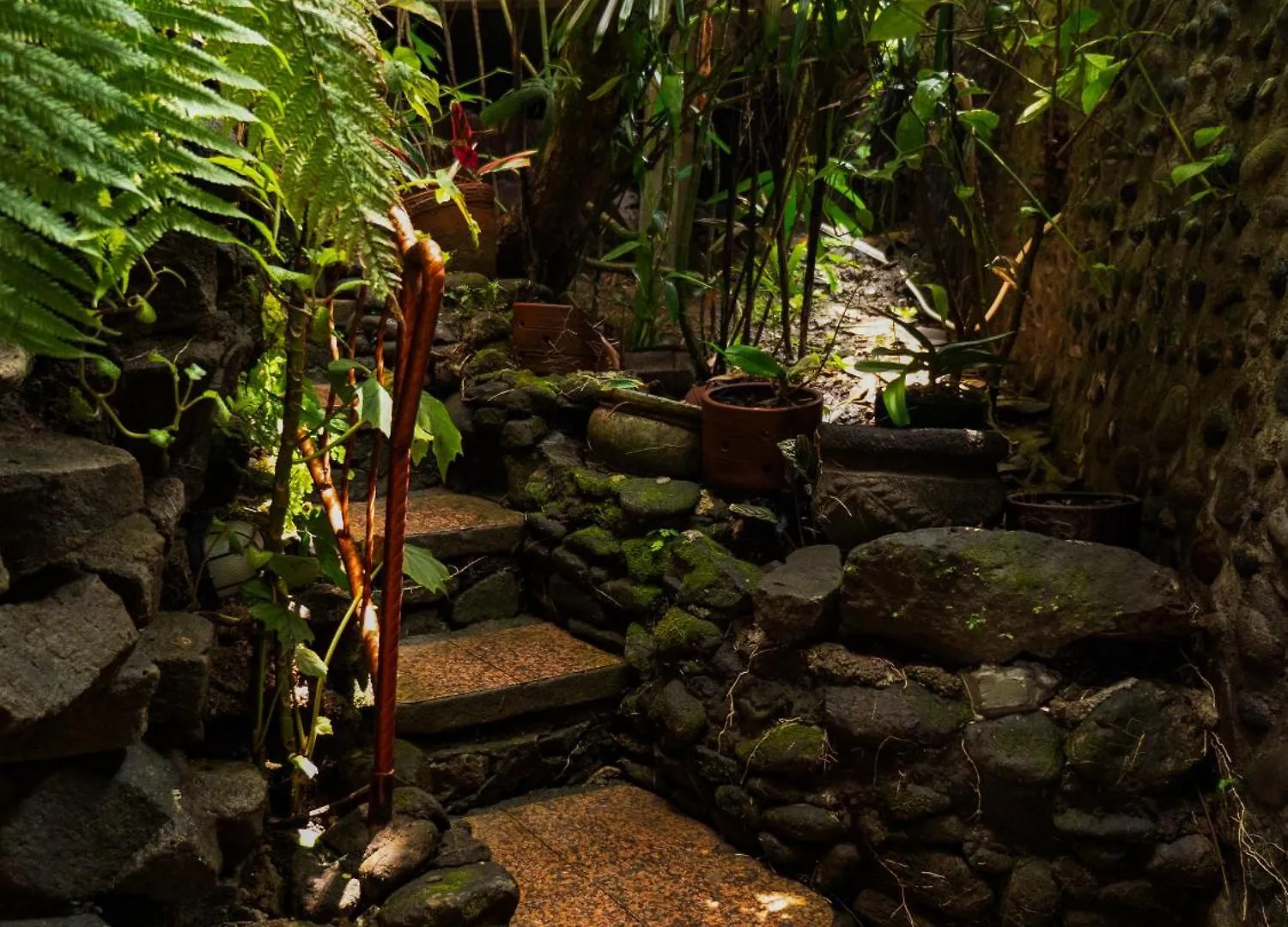 Villa Heaven View 9 Bedroom Best Nature Visuals Ubud Sayan