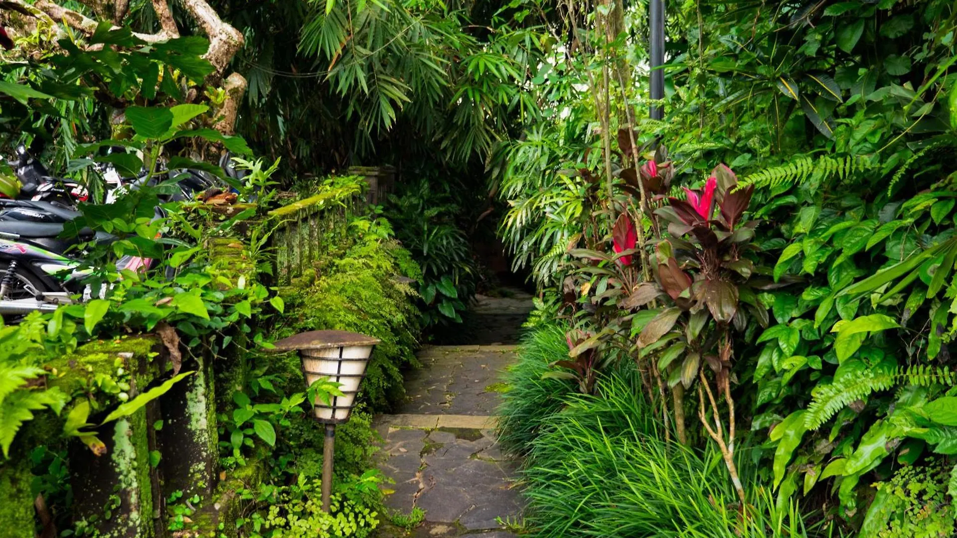 Heaven View 9 Bedroom Best Nature Visuals Ubud Sayan Villa Ubud (Bali)